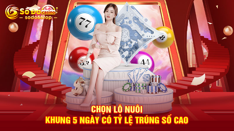 Chọn lô nuôi khung 5 ngày có tỷ lệ trúng số cao