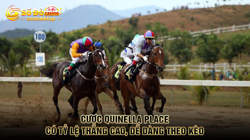 Cược Quinella Place có tỷ lệ thắng cao, dễ dàng theo kèo