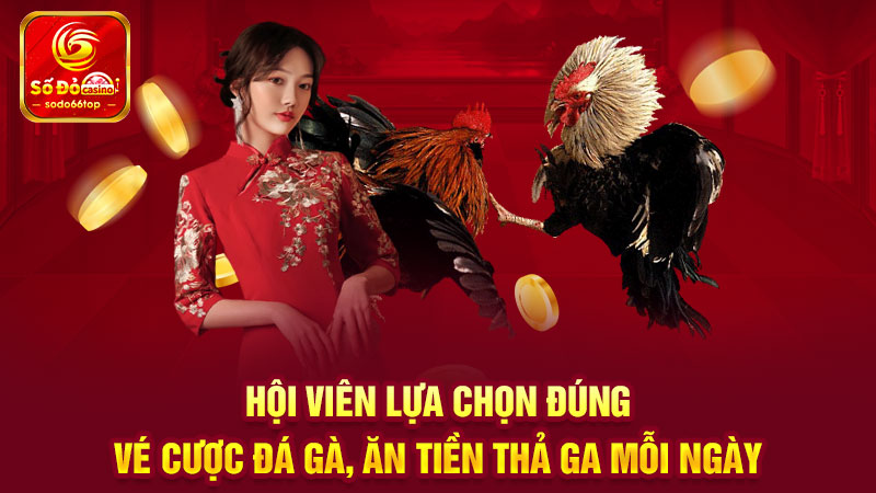 Hội viên lựa chọn đúng vé cược đá gà, ăn tiền thả ga mỗi ngày