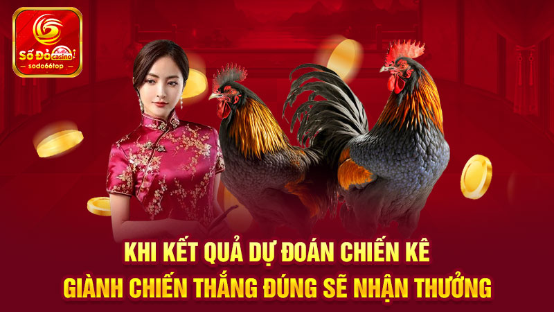 Khi kết quả dự đoán chiến kê giành chiến thắng đúng sẽ nhận thưởng