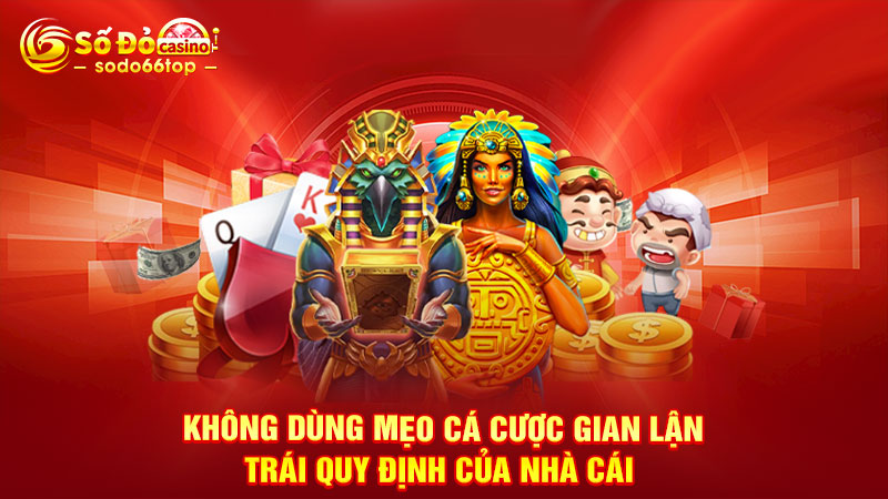 Không dùng mẹo cá cược gian lận, trái quy định của nhà cái