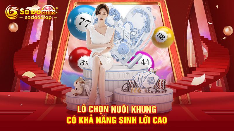 Lô chọn nuôi khung có khả năng sinh lời cao