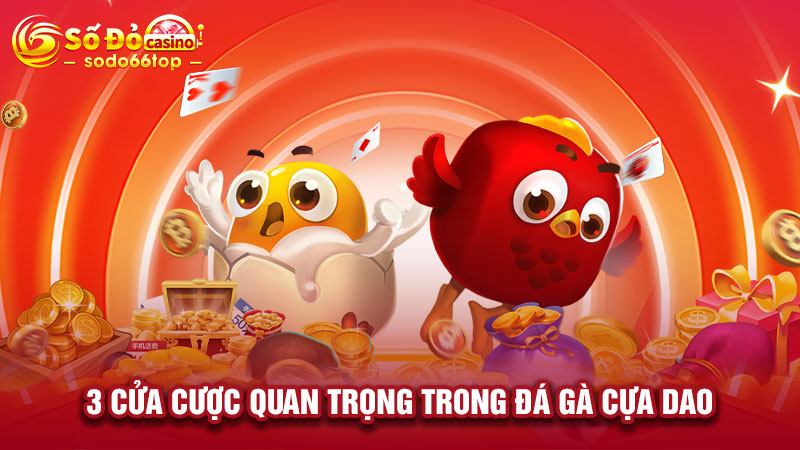 3 cửa cược quan trọng trong đá gà cựa dao