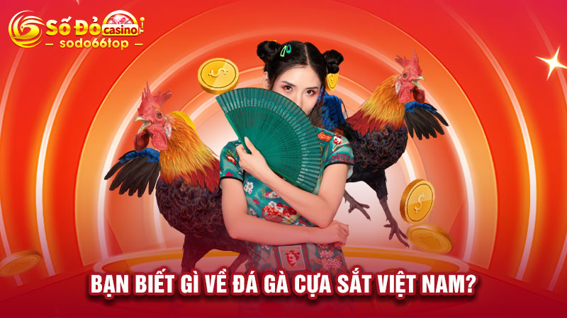 Bạn biết gì về đá gà cựa sắt Việt Nam?