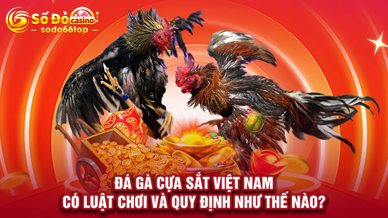 Đá gà cựa sắt Việt Nam