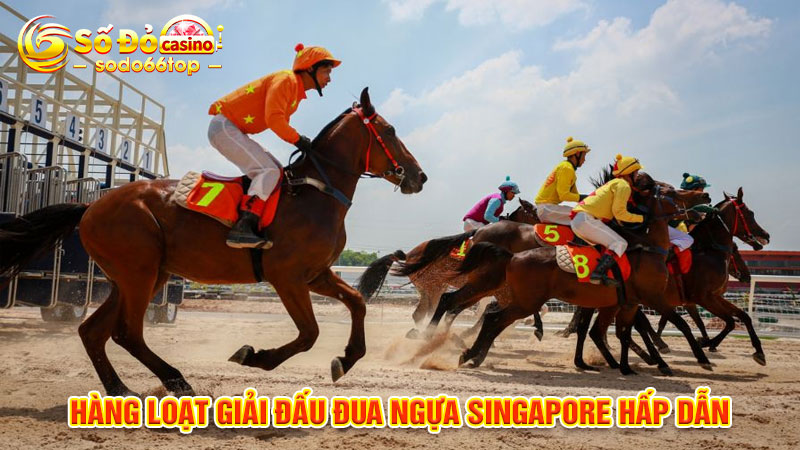 Hàng loạt giải đấu đua ngựa Singapore hấp dẫn