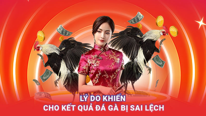 Lý do khiến cho kết quả đá gà bị sai lệch