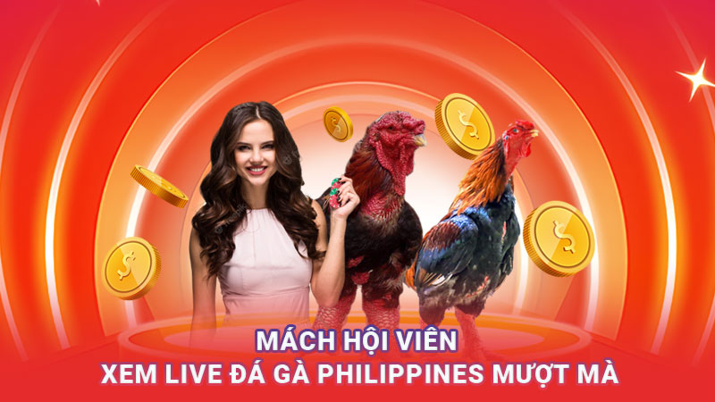 Mách hội viên xem live đá gà Philippines mượt mà