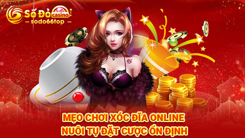 Mẹo chơi xóc đĩa online nuôi tụ đặt cược ổn định