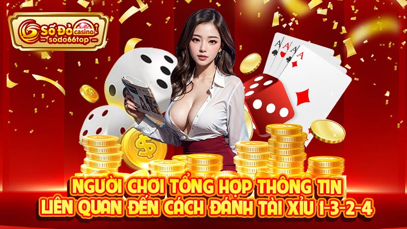 Người chơi tổng hợp thông tin liên quan đến cách đánh Tài xỉu 1-3-2-4