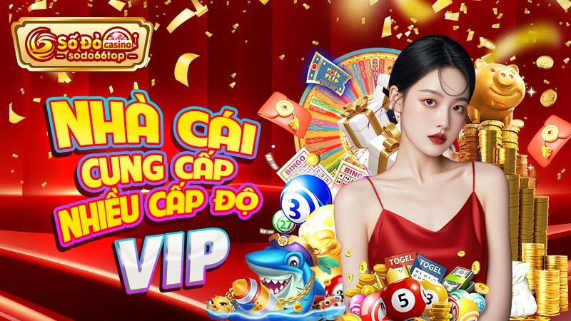 Nhà cái cung cấp nhiều cấp độ VIP