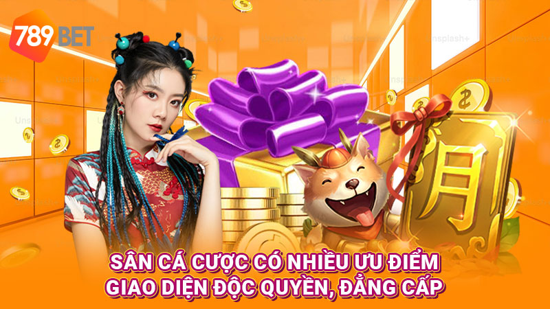 Sân cá cược có nhiều ưu điểm, giao diện độc quyền, đẳng cấp