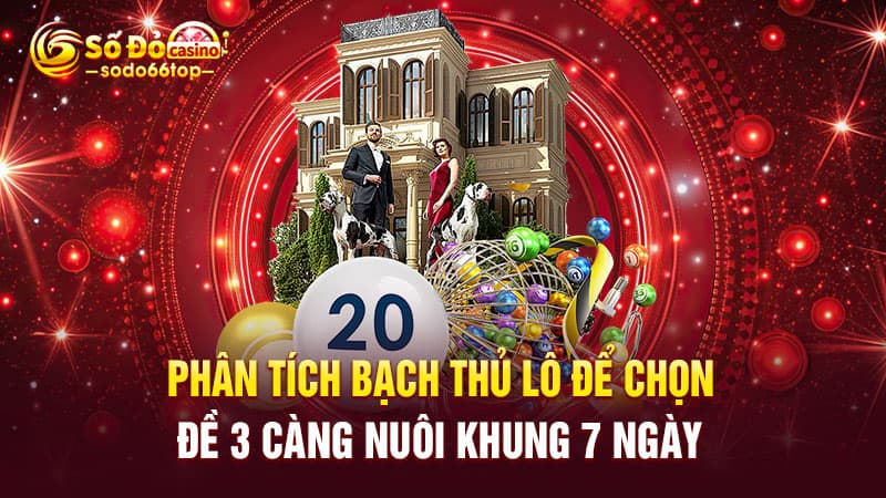 Phân tích bạch thủ lô để chọn đề 3 càng nuôi khung 7 ngày