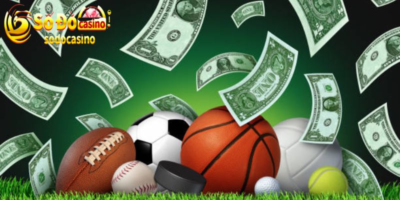 Bắt tay cùng các đối tác lớn để nâng cao chất lượng