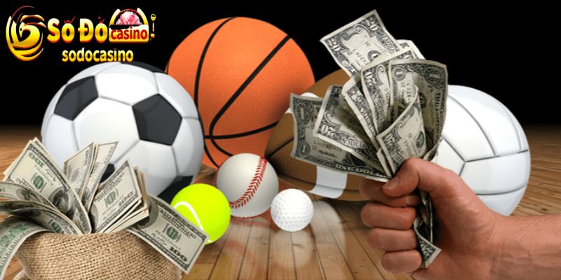 Những bộ môn được yêu thích tại sảnh thể thao SODO66