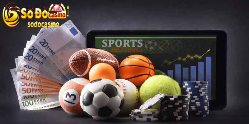 Giới thiệu khái quát sảnh thể thao SODO66